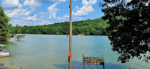 23516 Hideaway Dr, Senecaville, OH 43780 - water view featuring a forest