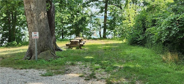 23516 Hideaway Dr, Senecaville, OH 43780 - view of yard
