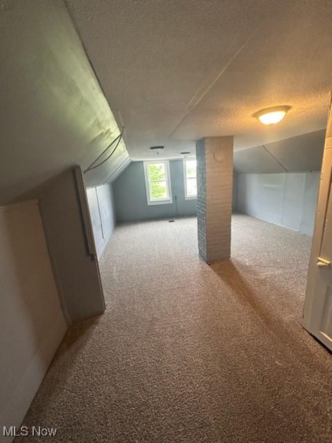 8910 Harris Ave, Cleveland, OH 44104 - bonus room featuring a textured ceiling, lofted ceiling, and carpet flooring