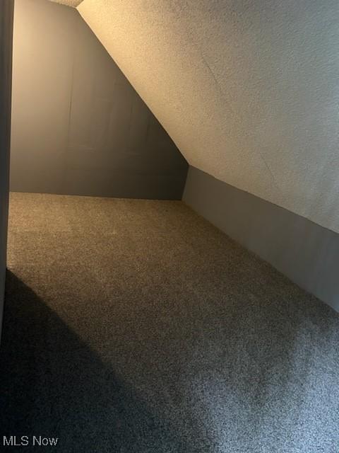 8910 Harris Ave, Cleveland, OH 44104 - bonus room with carpet flooring, lofted ceiling, and a textured ceiling