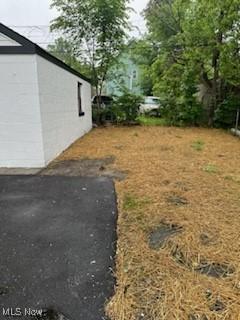 8910 Harris Ave, Cleveland, OH 44104 - view of yard