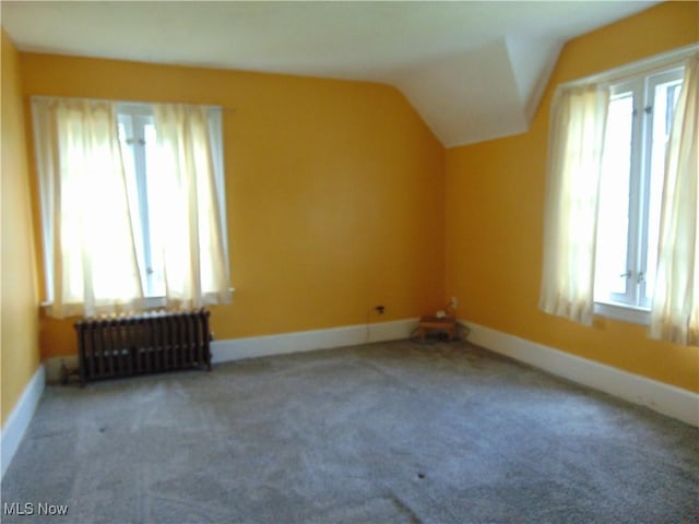 4017 N Ridge Rd W, Saybrook, OH 44004 - additional living space featuring radiator heating unit, carpet flooring, and vaulted ceiling