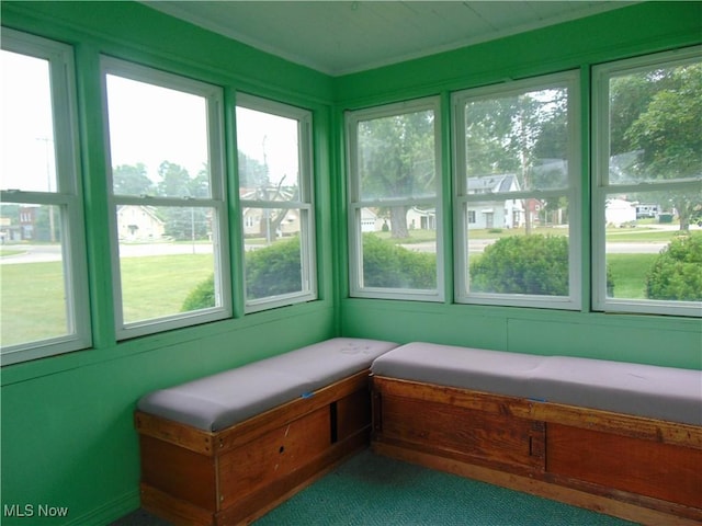 4017 N Ridge Rd W, Saybrook, OH 44004 - sunroom with healthy amount of natural light