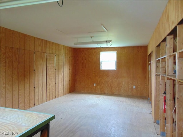 4017 N Ridge Rd W, Saybrook, OH 44004 - basement with wooden walls