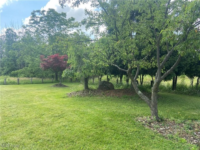 4520 E Wallings Rd, Broadview Heights, OH 44147 - view of yard
