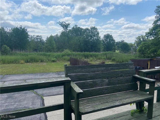 4520 E Wallings Rd, Broadview Heights, OH 44147 - view of yard