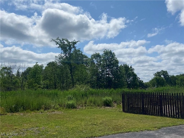 4520 E Wallings Rd, Broadview Heights, OH 44147 - view of yard