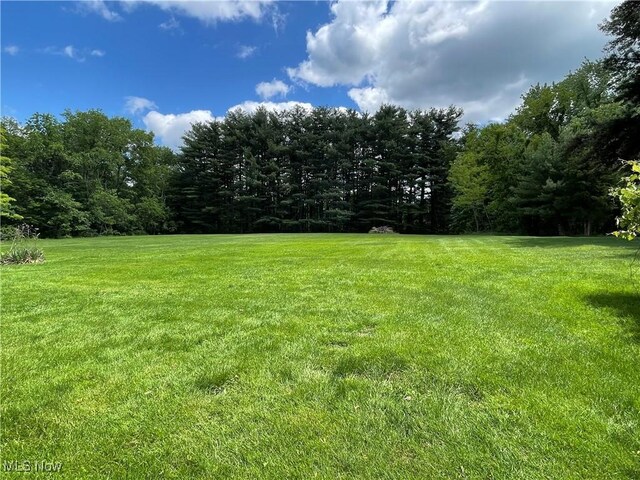 67966 Old Twenty One Rd, Cambridge, OH 43725 - view of grassy yard featuring a wooded view