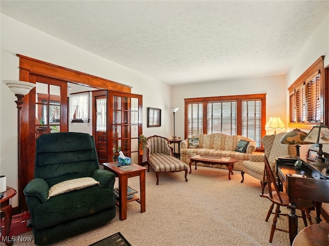 290-289 Park Ave, Conneaut, OH 44030 - living area featuring carpet and a textured ceiling