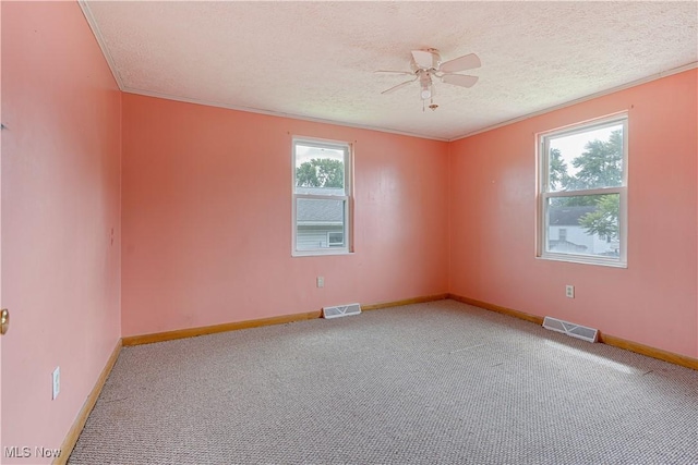 719 Pomeroy Pike, Belpre, OH 45714 - spare room featuring carpet, a ceiling fan, plenty of natural light, a textured ceiling, and ornamental molding