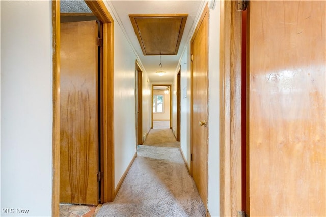 719 Pomeroy Pike, Belpre, OH 45714 - hallway featuring attic access and light carpet