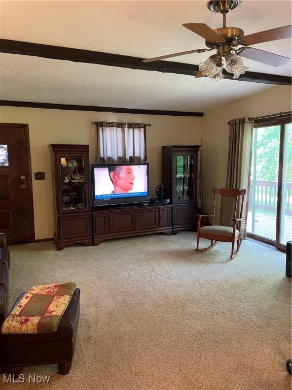 47033 Tomahawk Dr, Negley, OH 44441 - photo 5