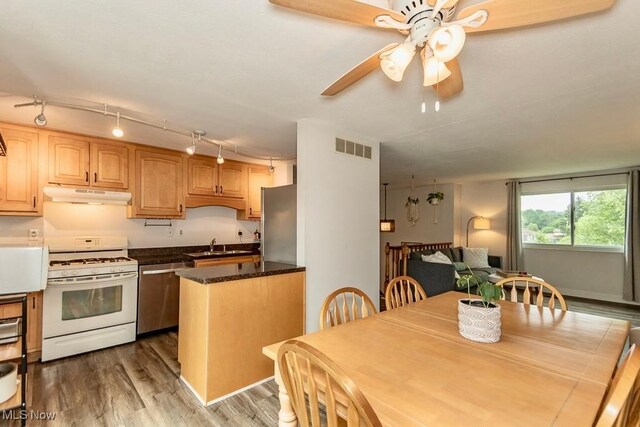 1657 Kasserine Ct, Twinsburg, OH 44087 - kitchen featuring appliances with stainless steel finishes, under cabinet range hood, light wood finished floors, ceiling fan, and track lighting
