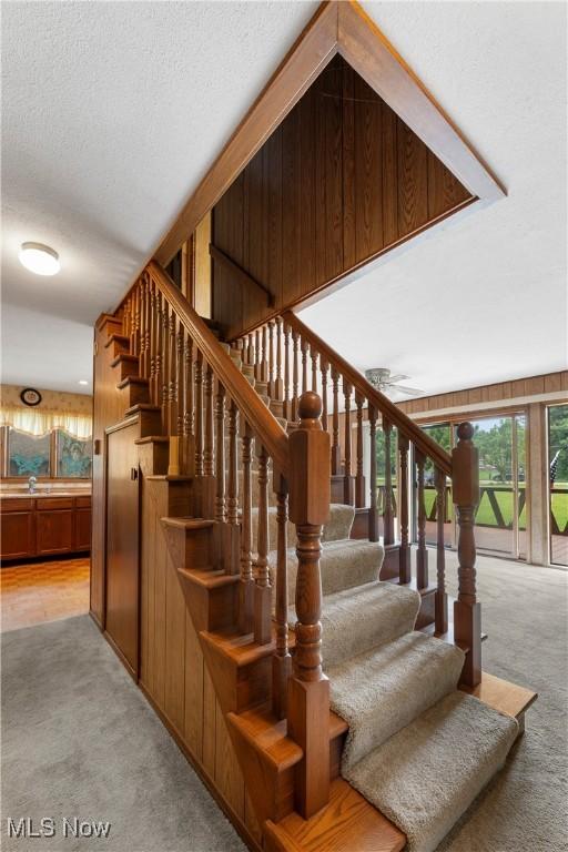 52 Arbor Rd NE, Minerva, OH 44657 - staircase featuring carpet flooring