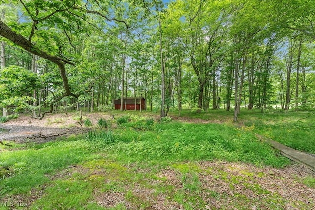 52 Arbor Rd NE, Minerva, OH 44657 - view of yard with an outdoor structure
