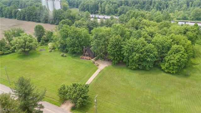 52 Arbor Rd NE, Minerva, OH 44657 - drone / aerial view