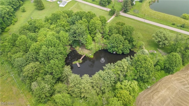 52 Arbor Rd NE, Minerva, OH 44657 - bird's eye view of a nearby body of water