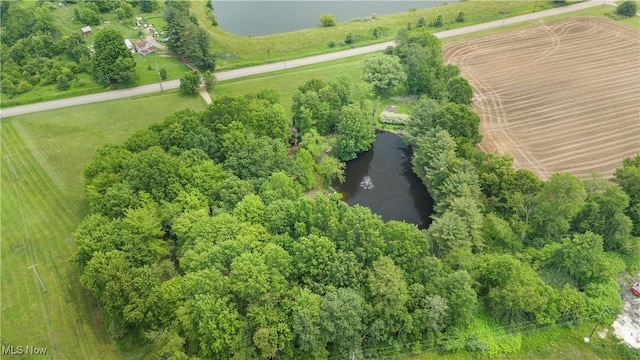 52 Arbor Rd NE, Minerva, OH 44657 - overview of rural landscape with a nearby body of water