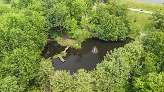 52 Arbor Rd NE, Minerva, OH 44657 - aerial view of a nearby body of water