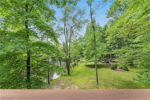 52 Arbor Rd NE, Minerva, OH 44657 - view of green lawn featuring a water view