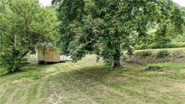 10277 Fryburg Rd, Fredericksburg, OH 44627 - photo 10
