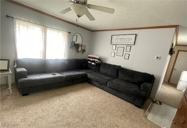 37346 Goose Run Rd, Dexter City, OH 45727 - living area featuring carpet floors, crown molding, and a ceiling fan