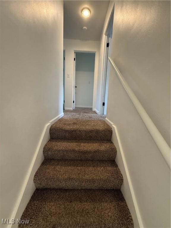 3627 Marland Heights Rd, Weirton, WV 26062 - staircase featuring carpet flooring and baseboards