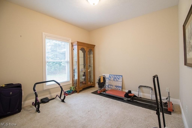8311 Hemingway Ln, Mentor, OH 44060 - exercise room with carpet