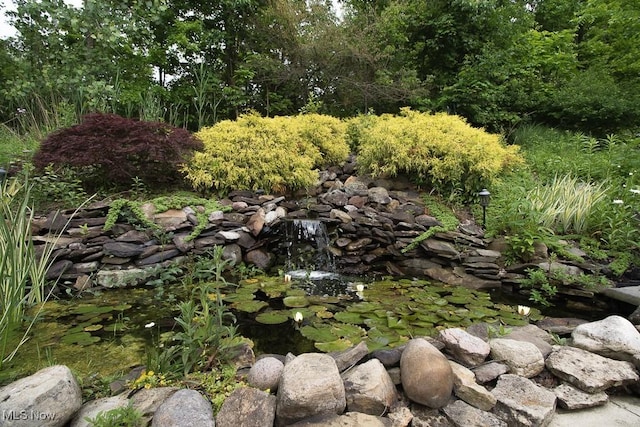 8311 Hemingway Ln, Mentor, OH 44060 - view of local wilderness
