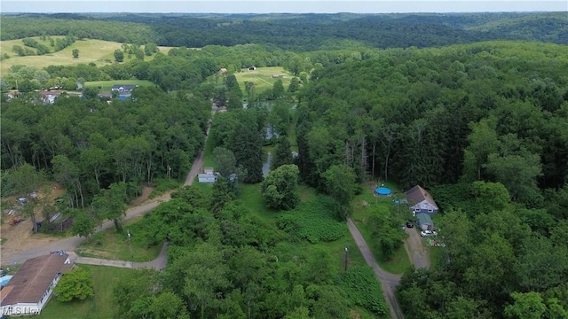 51 Buckeye Dr, New Cumberland, WV 26047 - aerial view of property and surrounding area featuring a forest