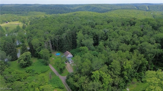 51 Buckeye Dr, New Cumberland, WV 26047 - view of property location featuring a forest