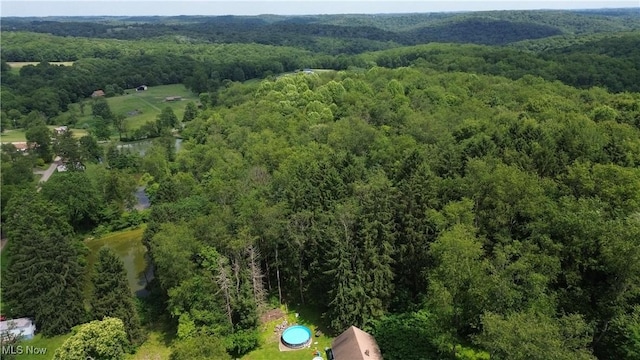 51 Buckeye Dr, New Cumberland, WV 26047 - aerial view of property's location with a heavily wooded area