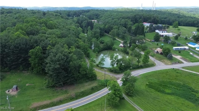 51 Buckeye Dr, New Cumberland, WV 26047 - aerial view of a forest