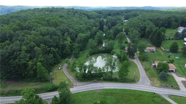 51 Buckeye Dr, New Cumberland, WV 26047 - drone / aerial view of a forest