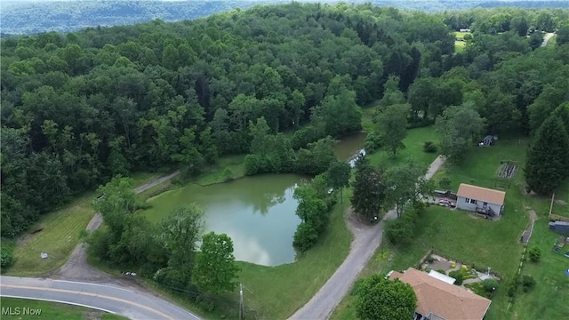 51 Buckeye Dr, New Cumberland, WV 26047 - aerial view of property's location with a nearby body of water and a forest