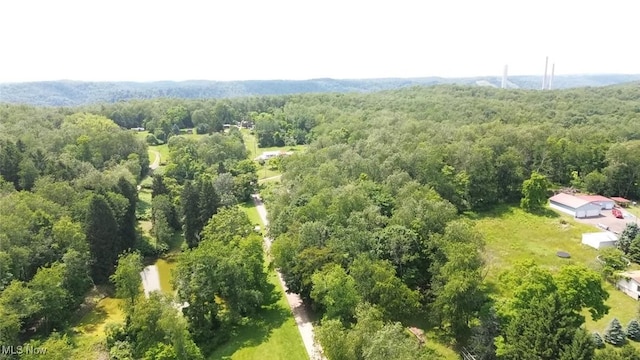 51 Buckeye Dr, New Cumberland, WV 26047 - drone / aerial view of a forest