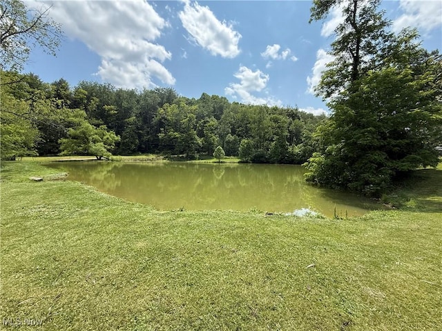 51 Buckeye Dr, New Cumberland, WV 26047 - water view with a forest