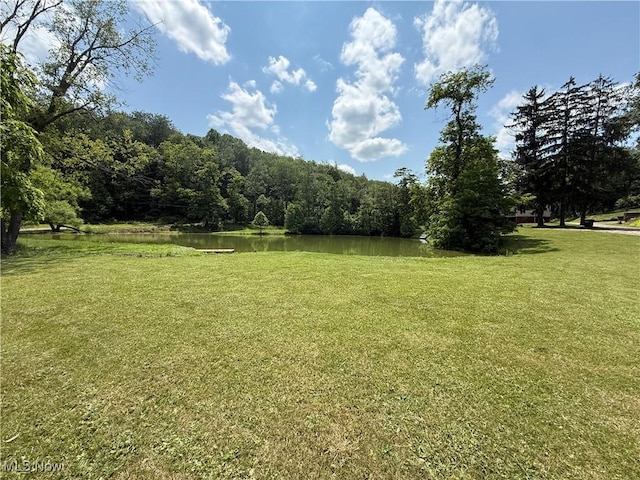 51 Buckeye Dr, New Cumberland, WV 26047 - view of green lawn featuring a water view and a wooded view