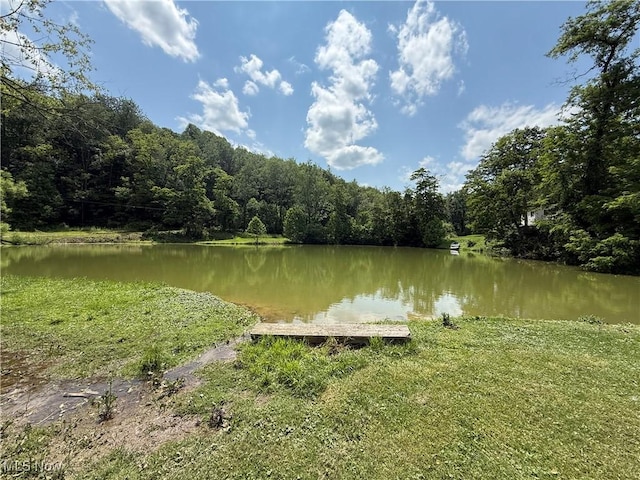 51 Buckeye Dr, New Cumberland, WV 26047 - water view featuring a heavily wooded area