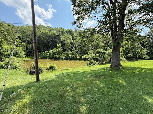 51 Buckeye Dr, New Cumberland, WV 26047 - view of green lawn featuring a water view