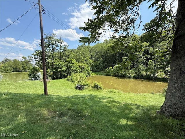 51 Buckeye Dr, New Cumberland, WV 26047 - view of green lawn with a water view