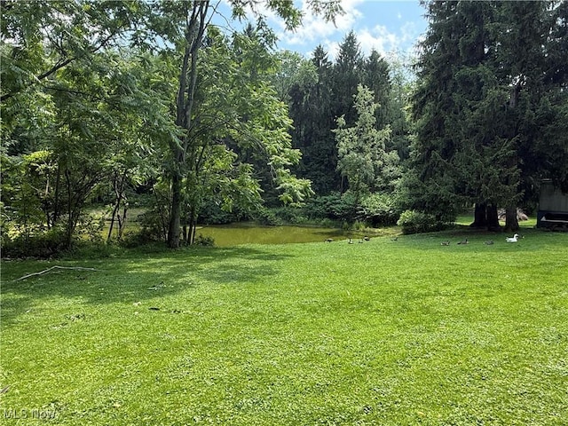 51 Buckeye Dr, New Cumberland, WV 26047 - view of green lawn