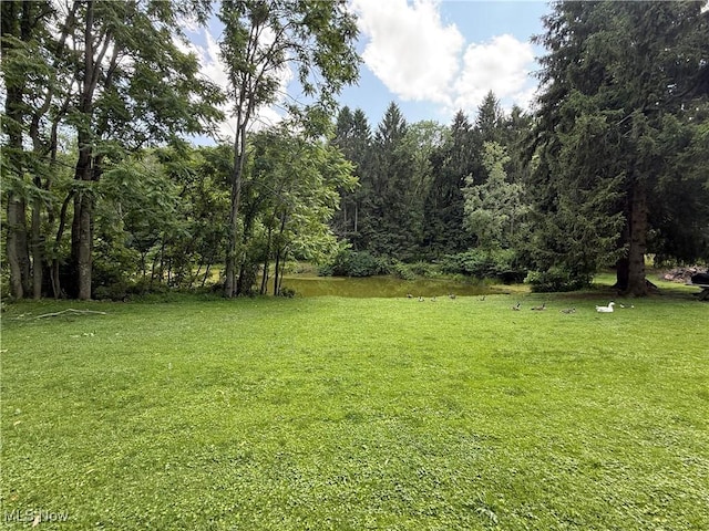 51 Buckeye Dr, New Cumberland, WV 26047 - view of green lawn