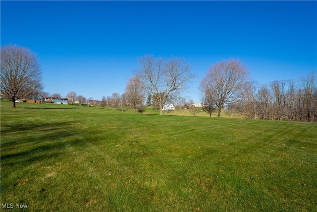 52 Hilda Cir, Bloomingdale, OH 43910 - view of green lawn