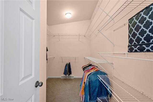 52 Hilda Cir, Bloomingdale, OH 43910 - walk in closet featuring carpet flooring and attic access