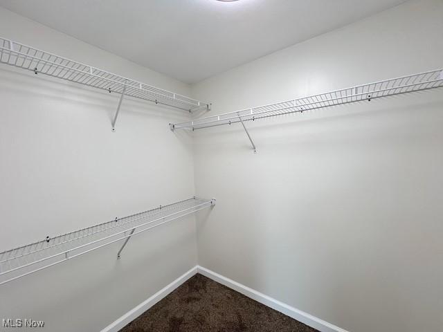619 N 3rd St, Dennison, OH 44621 - spacious closet with dark colored carpet