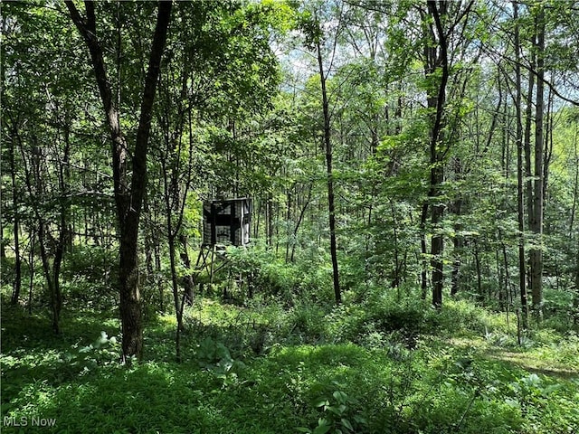 819 Midvale Mine Rd SE, Dennison, OH 44621