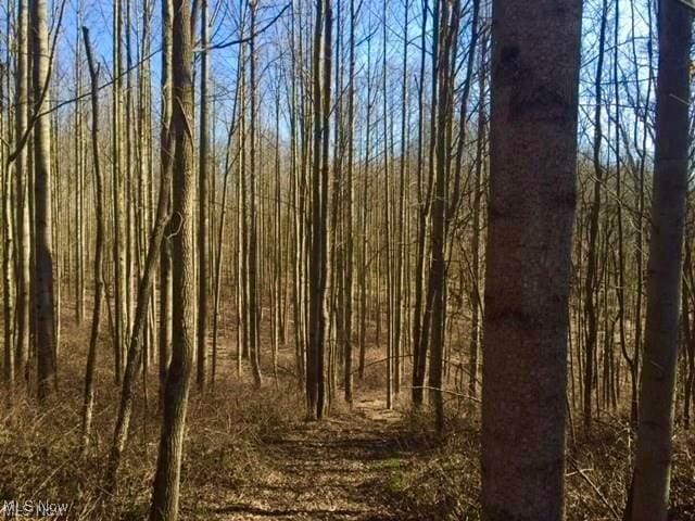 819 Midvale Mine Rd SE, Dennison, OH 44621