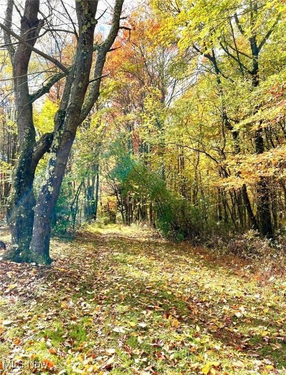 819 Midvale Mine Rd SE, Dennison, OH 44621