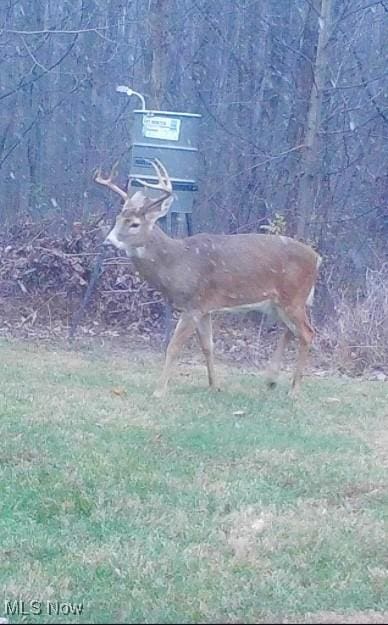 819 Midvale Mine Rd SE, Dennison, OH 44621